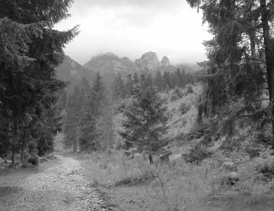 A hiking trail in the Transylvanian Alps. Photo: Pyle