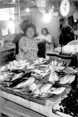 Vendor at a fish market in Manila.