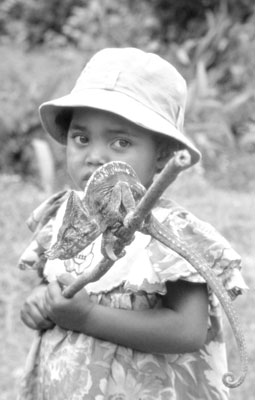 A Malagasy girl shows off the chameleon she caught.