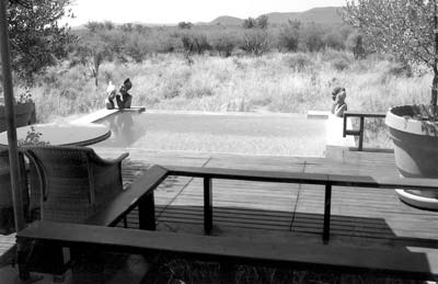 My private swimming pool at Mateya Safari Lodge.