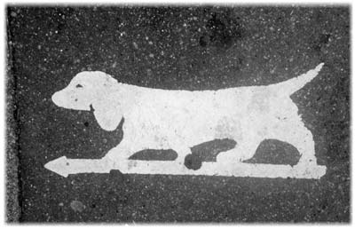 The French are absolutely passionate when it comes to their dogs. Pictured is a dog crossing in Rouen.