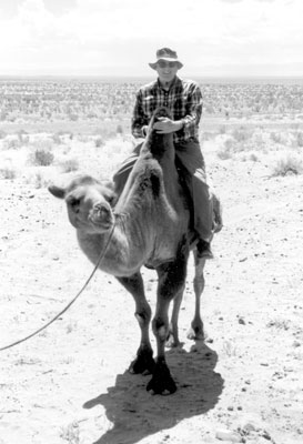 Wayne perched between the humps on a camel. 