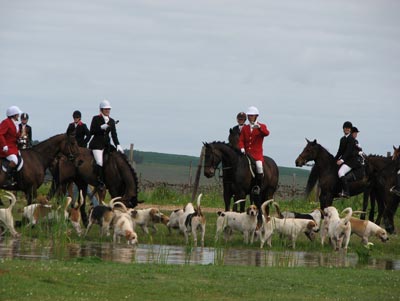 A traditional fox hunt in front of the Anura Winery near Paarl.