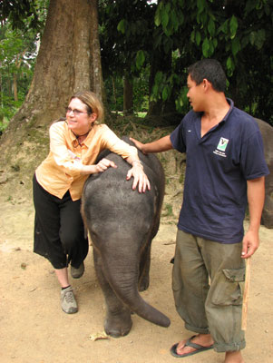 Kim Edwards and a handler with an orphaned elephant — Kuala Gandah Elephant Conservation Centre, Malaysia.