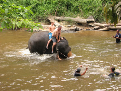 Tourists rode an elephant into the river only to get dumped when it leaned over before submerging — Kuala Gandah Elephant Conservation Centre, Malaysia.