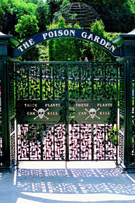 Pass through the Poison Garden gates into an area of warning signs.