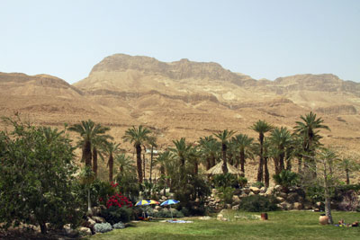 The botanical garden hosts an abundance of diverse plants. In the background are the Judean Hills, source of the Ein-Gedi springs.