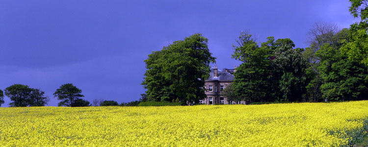 A golden field of rape, dark blue skies and a country mansion house.