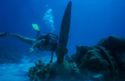James Hansen at the remains of a Japanese seaplane resting in shallow water on the west side of Saipan. Photo by Eva McKinney