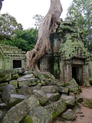 The natural world engulfing the manmade at the “jungle temple” of Ta Prohm.