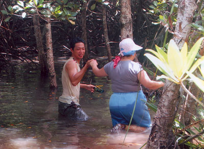 Participants got a little wet hiking in a mangrove swamp.