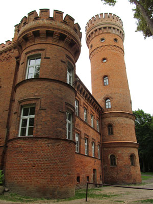The Raudonė manor house castle and tower.