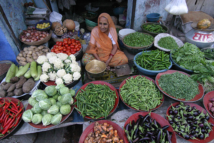In the streets of Jodhpur, a woman displays the wealth of vegetables available to shoppers.