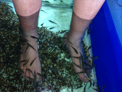 Experiencing a fish spa foot bath in Luang Prabang.