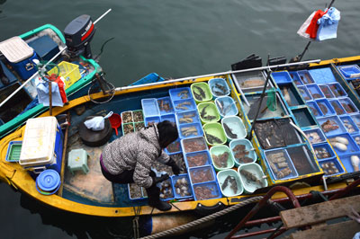 At Sai Kung’s harbor, shoppers can purchase the very freshest seafood.