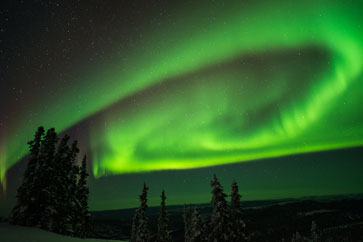 Trees to the left and northern lights above at Mount Aurora SkiLand, near Fairbanks. 