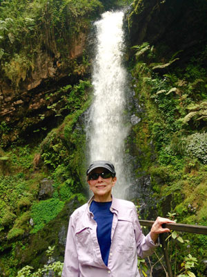 A waterfall in the Nyungwe Forest.
