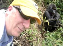 Norman Dailey posing with a member of the Umubano family group of gorillas in Rwanda.