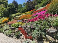 Gardens of Villa Carlotta — Lake Como, Italy. Photos by Liz Fischer