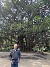 This banyan tree in the botanical garden El-Hamma Jardin d’Essai was used by Johnny Weissmuller in at least one of his 1930s Tarzan movies — Algiers.