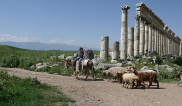 A young shepherd in Apamea.