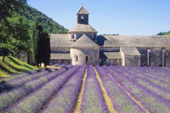 Monks at Senanque Abbey in Provence divide their day between prayer and work, which includes tending their perfect rows of lavender.