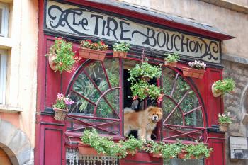 Try some traditional cuisine in one of Lyon’s bouchons — simple, cozy bistros filled with character. Photo by Rick Steves