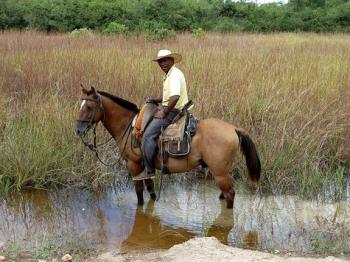 A pantaneiro (cowboy) in the northern Pantanal, Mato Grosso state, Brazil, in April 2011. Photo by Edna R.S. Alvarez