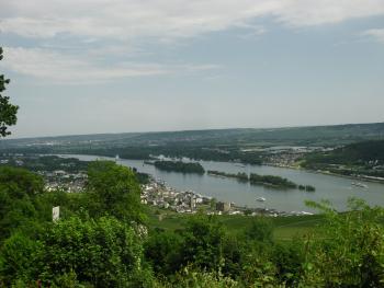 View of Rüdesheim from above the town.
