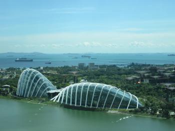 View of the Gardens by the Bay, as seen from the Singapore Flyer.