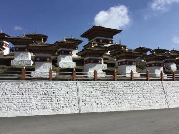 View of some of the 108 Druk Wangyal Chortens, seen on our drive along Dochula Pass.