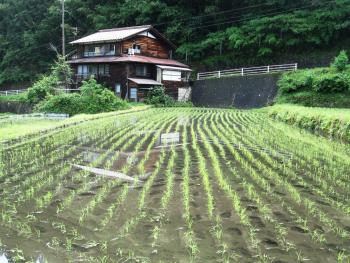 Typical house and rice paddy along the Kiso Road. Photo by Victor Block 