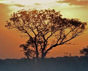 South African sunset. Photo by Joyce Bruck