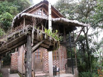 One of the accommodation lodges at Bellavista Cloud Forest Reserve, Ecuador. Photo by Andy Cubbon
