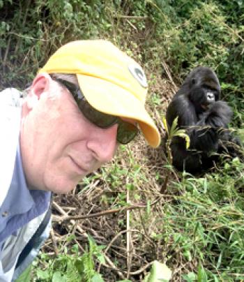 Norman Dailey posing with a member of the Umubano family group of gorillas in Rwanda.