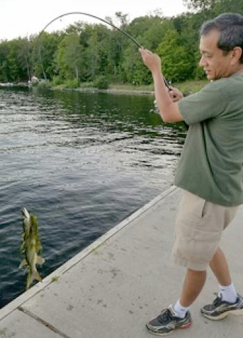 Adrian Dass pulling a muskie from Lake Stoney. Photo by Wendi Dass