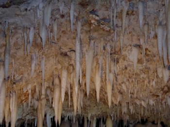 Stalactites hanging from the ceiling of Harrison’s Cave, Barbados.