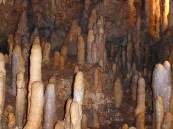 Stalagmites grow from the floor of Harrison’s Cave.