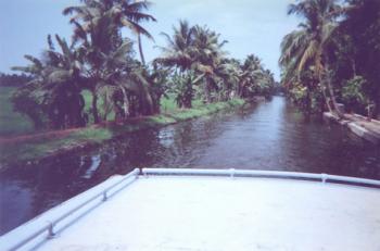 Jean Fischer’s photo of a narrow channel she visited in India’s Kerala backwaters during a cruise ship shore excursion in 2012