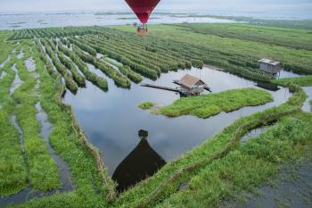 Balloon over a few of the floating gardens on Inle Lake.