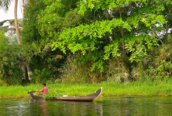 A local gathering greens from along the bank — Kerala backwaters. Photo by John Fleckles   
