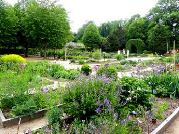 Nearly 300 different herbs are represented in the herb garden of the Valtice Château.