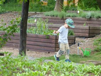 A child making his way down a path in the Open Gardens — Brno, Czechia.