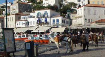 Hydra has no vehicles, so donkeys carry everything between the port and town.