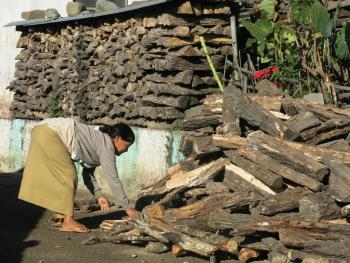 A woman delivers wood by hand in a small village.