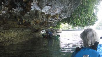 Around some islands of Palau, the seawater has eroded the limestone, undercutting each several feet.