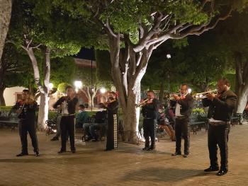 A mariachi band performance in the Jardín Allende in San Miguel.