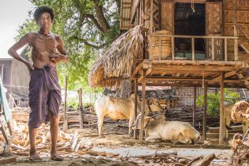A man standing outside his home with his livestock in a small village near  Amarapura. Photo by Julie Cassen