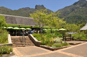 Of the restaurants at Kirstenbosch National Botanical Garden, most visitors have coffee or a meal in the Kirstenbosch Tea Room, which serves breakfast, lunch and desserts. The food is particularly good. Photo by Alan Ramsay
