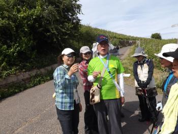 Walkers from Japan enjoyed the complimentary wine samples on a walk through vineyards near Koblenz, Germany.